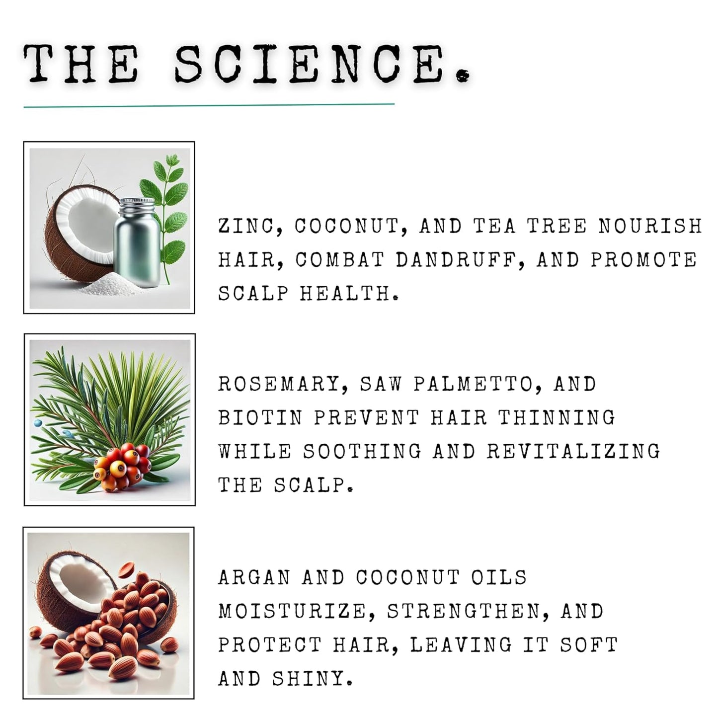 Anti Dandruff Shampoo for Men Tea Tree Oil Shampoo for Dandruff Treatment Natural Zinc Shampoo for Thinning Hair Thickening Shampoo for Men Hair Loss Mens Biotin Shampoo